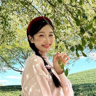 美国派：兄弟会